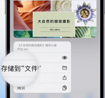 丹阳apple维修中心分享iPhone文件应用中存储和找到下载文件