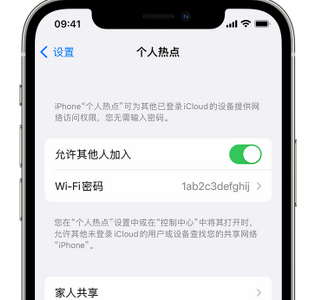 丹阳apple服务站点分享iPhone上个人热点丢失了怎么办 