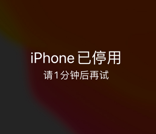 丹阳苹果手机维修分享:iPhone 显示“不可用”或“已停用”怎么办？还能保留数据吗？ 