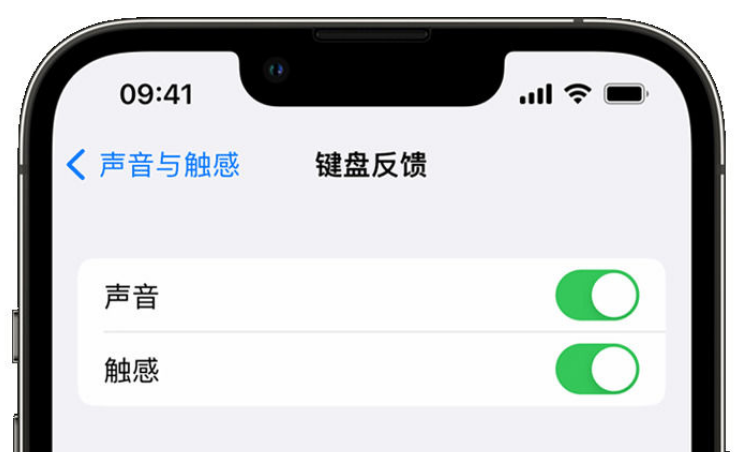 丹阳苹果手机维修分享iPhone 14触感键盘使用方法 