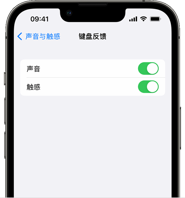 丹阳苹果14维修店分享如何在 iPhone 14 机型中使用触感键盘 