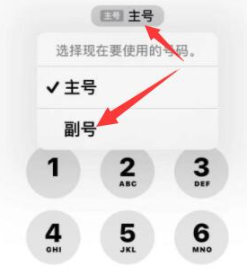 丹阳苹果14维修店分享iPhone 14 Pro Max使用副卡打电话的方法 