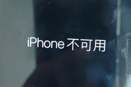 丹阳苹果服务网点分享锁屏界面显示“iPhone 不可用”如何解决 