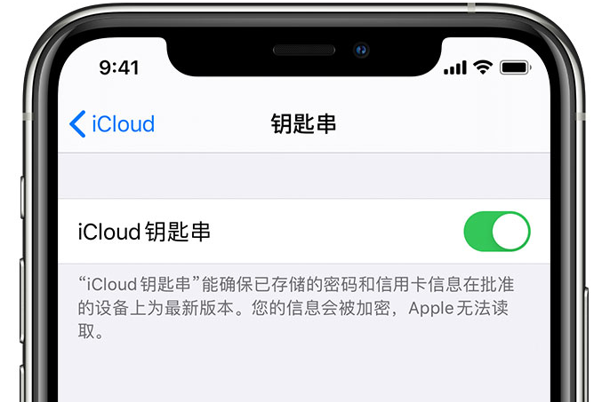 丹阳苹果手机维修分享在 iPhone 上开启 iCloud 钥匙串之后会储存哪些信息 