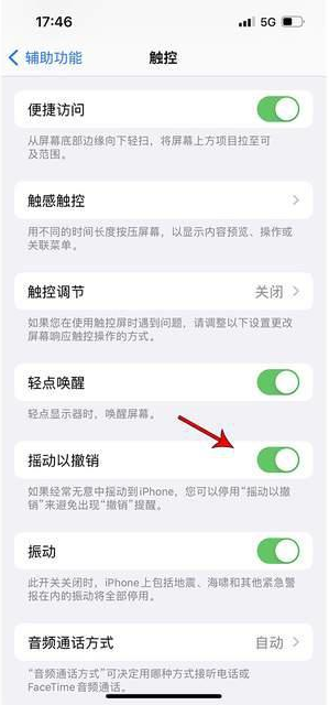 丹阳苹果手机维修分享iPhone手机如何设置摇一摇删除文字 